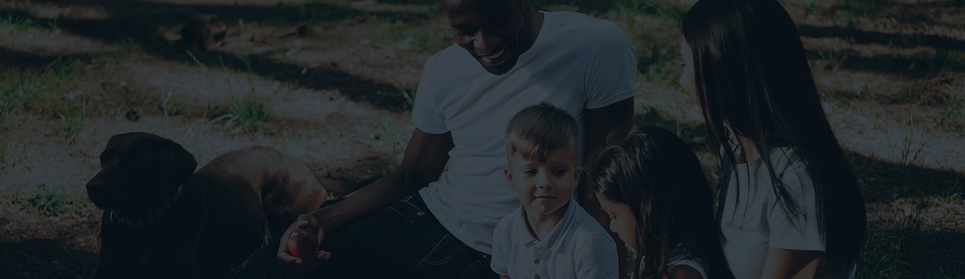 Our blogs, tips, advice, all in one place